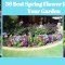36 Best Spring Flower Idea For Your Garden